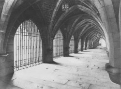 Claustro - Calle la Paloma